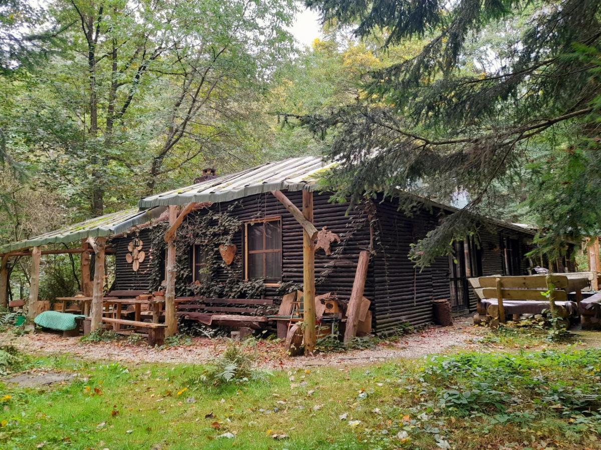 Das wilde Auwaldhaus Bertsdorf Exterior foto